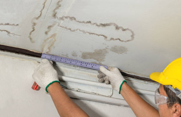 Reliable Sewage Cleanup contractor in Monroe, CT by Water Damage Irwin